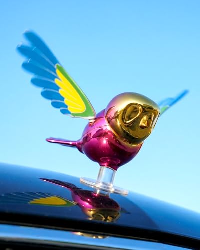 Flying Bird Car Accessories, Wind Powered Spinning Bird Toy, Funny Moving Bird Ornament for Car Exterior, Motorcycle Helmet, Mirror, Antenna Decoration, Weatherproof Auto Decor Gift