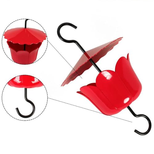 Cabides de alimentador de pássaros para fora, formigas de alimentador de beija -flor,Ganchos do de p