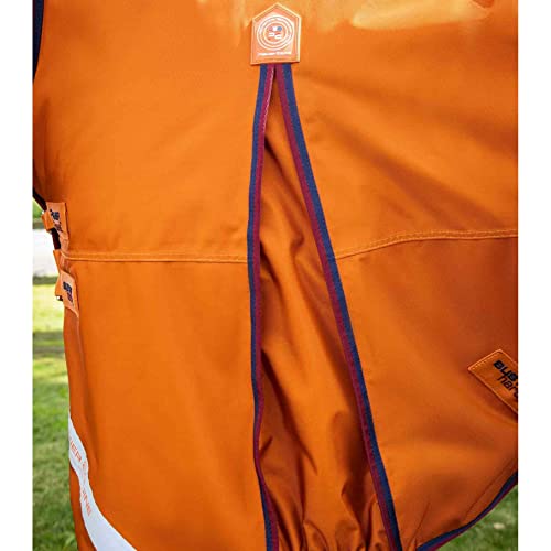 Couverture d'extérieur Buster Hardy Premier Equine haut de gamme 200g - 5