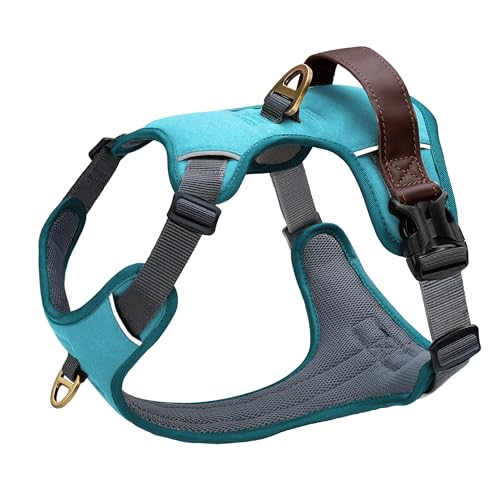 Image of Didog No Pull Dog Harness for Medium Dogs, Classic PU Leather, Light Blue,M