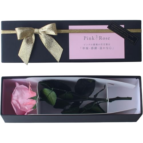 vU[uht[ vU[ht[ ւKN v[g j LO a AW t[Mtg t[AWg ͂Ȃo   ̓ (sNiԌtj)