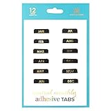 Erin Condren Designer Accessories - Monthly Adhesive Tabs, Neutral Metallic (Set of 12). Great for...