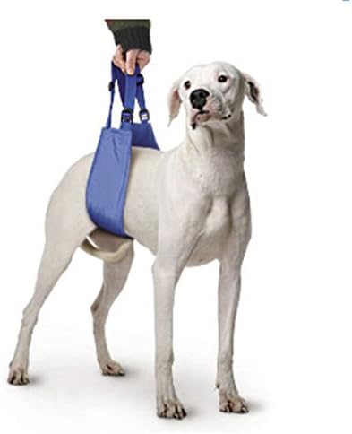 Four Flags Original, Large Dog