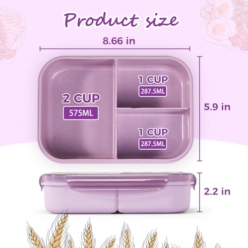 MISS BIG Lunch Box Kids, Leak Proof Lunch Containers, Mom’s Choice No BPAs and No Chemical Dyes Bento Box for Kids,Microwave and Dishwasher Safe Lunch Box (Purple M)