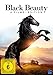 Produktbild Black Beauty Edition - Black Beauty, Ein Pferd fürs Leben, Mein Pferd Holly, Ferien auf dem Reiterhof - 4 Filme Special Edition [2 DVDs]