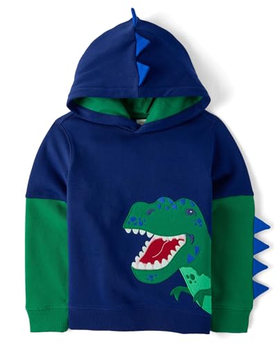 Image of Gymboree Boys' And Toddler Boys Long Sleeve Hoodie Sweatshirt