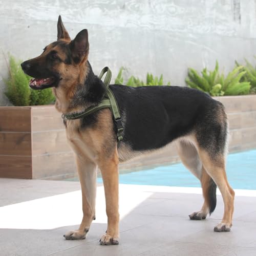 Plutus Pet No Pull Dog Harness with Breathable Mesh Padded, Adjustable Reflective Escape Proof Dog Harness, Quick Fit Dog Vest Harness for Small Medium Large Dogs(XL, Ranger Green) by PLUTUS PET - Image 7