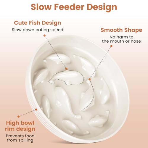 IDOGCHEW Anti Schling Napf für Katzen 2er Pack - Gesundheitsförderndes Design mit Rutschfestem Boden, Ultra-Dauerhaft & Leicht zu Reinigen, Ideal für Alle Katzengrößen