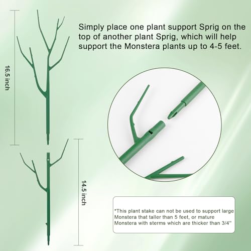 Qaobo 5 Pack Stackable Plant Support Stakes, Climbing Plant Support Structures for Monstera, Pothos, Philodendron Garden Plant Stakes for Indoor Outdoor Plants - Thumbnail 2
