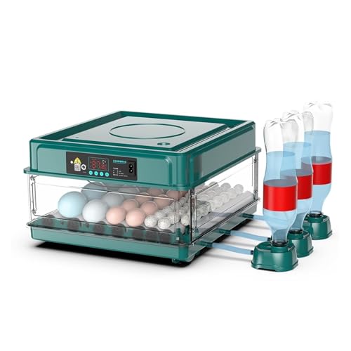 Couvaison oeufs caille et poulet avec l'incubateur automatique 48 oeufs