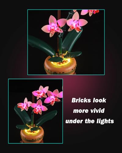 Image of LED Light Kit for Lego 10343 Mini Orchid Set, Compatible with Lego 10343 Building Blocks Model(Not Include Blocks Set)