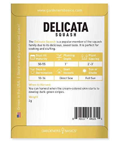 Gardeners Basics, Delicata Squash Seeds for Planting - Winter Squash Heirloom, Non-GMO Vegetable Squash Variety- 3 Grams Seeds Great for Summer Garden