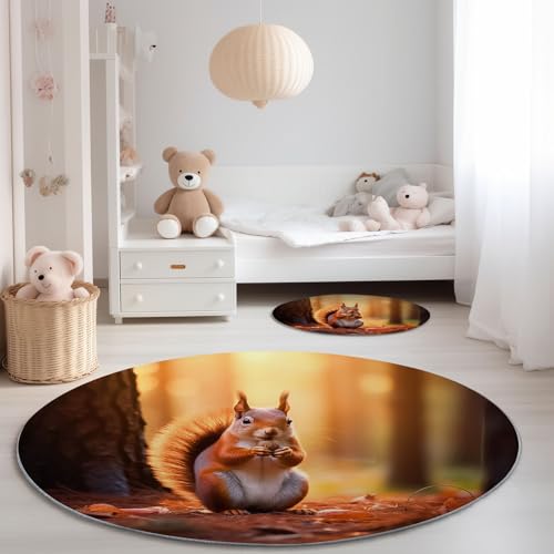 Genérico Alfombra Redonda para Sala de Estar 90 cm, Lindo Animales Bosque Ardillas Imprimir Pelo Corto Franela Alfombra Redonda - Color Naranja Antideslizante Lavable Alfombras para Dormitorio