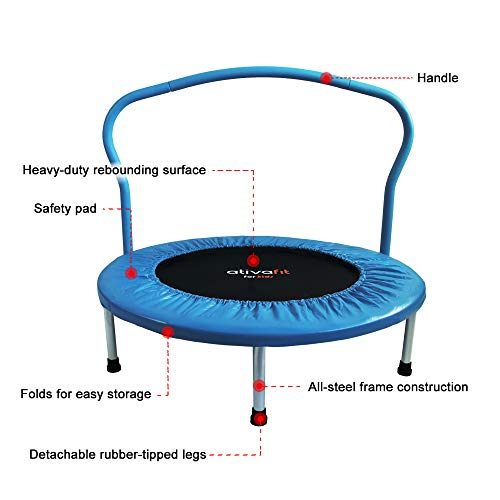 https://m.media-amazon.com/images/I/41Iv8BdPN7L._SL500_.jpg