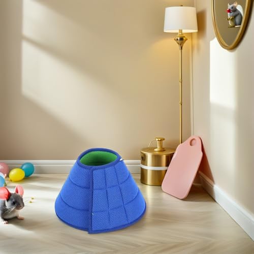 Protector de cuello ajustable para perros convalecientes en casa 7