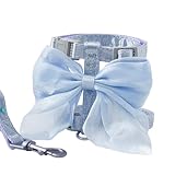 Katzengeschirr mit Leine Set, Katzenleine Ausbruchsicher, Verstellbare Geschirre Katzenleine mit Großem Schleifendekor, Katzenweste Sicher und Bequem für Katzen und Kleine Hunde (Blau, S)