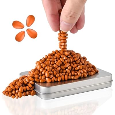 LCVUUK Magnetic Putty Rocks, Orange More Than 600 Weak Magnetic Smooth Ferrite Pebbles, Magnet Rock Desk Toys And Time-Killer For Adults