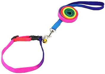ESHOPY Durable Nylon Colourful Rainbow Adjustable Collar and Round Traction Leash , Dog Pet Puppy Cat Kitty Adjustable Leash and Bell, Size (Small) Rainbow Pack of 1,Collar : 30cm , Leash 4 feet