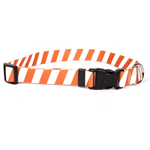 Image of Yellow Dog Design Team Spirit Orange and White Dog Collar with ID Tag System-Medium-3 /4 Neck 14 to 20 inch /4 inch