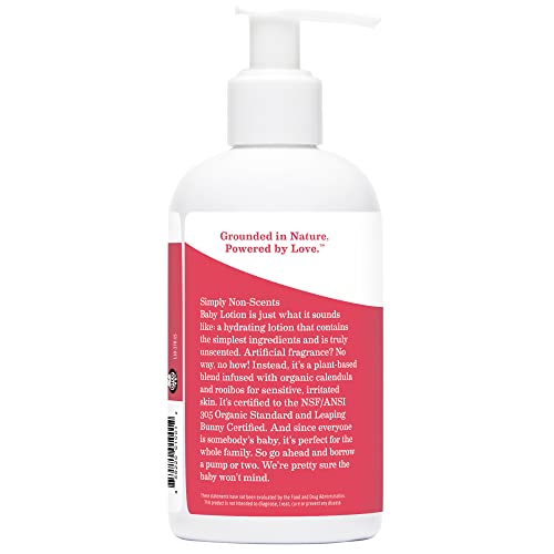 Earth Mama Simply Non-Scents Baby Lotion | Fragrance-Free With Organic Calendula + Rooibos For Sensitive Skin, 8-Fluid Ounce (2-Pack) #TOP1