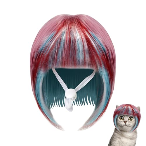 Cat Wig | Lp Jt ybg EBbO |  p \  p wbhEFA  h~ | LN^[ RXv nEB Ƒ W܂ j Cxg Xe[W ptH[}X p