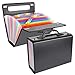 Uquelic 26 Tasche Cartella Portadocumenti A4 con Manico Grande Capacità Cartella dei File Plastica Fisarmonica Porta Documenti con Impermeabile Materiale Per Ufficio Scuola Casa Viaggio (Colore)