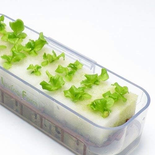 Amazon Co Jp リビングファーム リーフレタス 水耕栽培 苗作りキット 種子付き ホーム キッチン