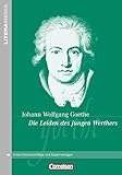 handreichung gemeinsamer unterricht thüringen  Literamedia: Die Leiden des jungen Werthers - Handreichungen für den Unterricht - Unterrichtsvorschläge und Kopiervorlagen