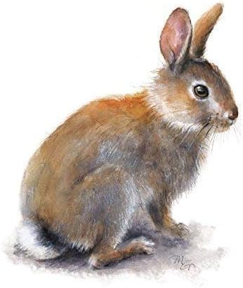 Rabbit Watercolor Print