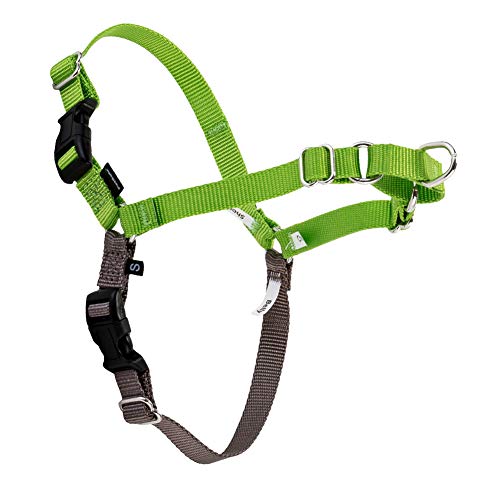 [ �y�b�g�Z�[�t ] Petsafe ���p �n�[�l�X �C�[�W�[�E�H�[�N ���^�`��^�� M/L �T�C�Y Easy Walk Harness M/L EWH-HC-M/L-APL �A�b�v���O���[��/�O���[ Apple Green �U�� �g���[�j���O �y�b�g ��
