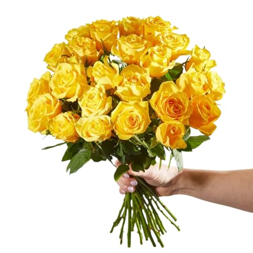 Bouquet de Rosas | DECOALIVE | Ramo de 25 Rosas Amarillas| Flores Frescas Naturales