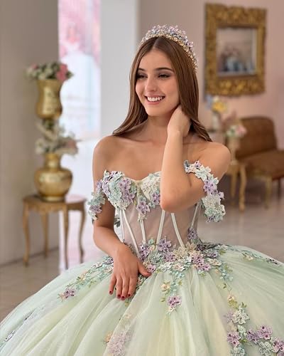 Mouccy Sparkly Lace Pearly Quinceanera Dresses Puffy Beaded Sweet 16 Ball Gown Tulle 3D Floral Off Shoulder Prom Gown XXF0474