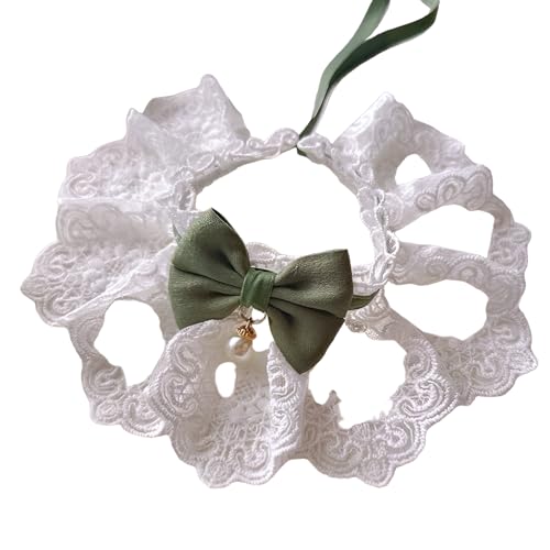 [GIIPET]L̎  p[ƃ[X̒lN^C lR  悾ꂩ    ߉\ y ybgp Xgbv 킢 Pn t@bV qL̎/q̎/̎/E^ybg ybgWG[