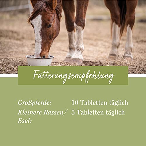 tierlieb Selen-Tabletten für Pferde | Mit Vitamin E | ADMR-konform | Diät-Ergänzungsfuttermittel | 500 Tabletten