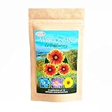 Created By Nature Wisconsin Wildflower Seed Mix, 16 Flower Varieties, 40,000 Seeds