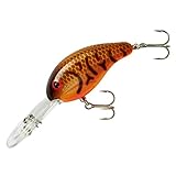 BANDIT LURES Series 300 Crankbait Bass Fishing Lures, Fisghing Accessories, Dives to 12-feet Deep, 2', 1/4 oz, Brown Craw Orange Belly, (BDT304)