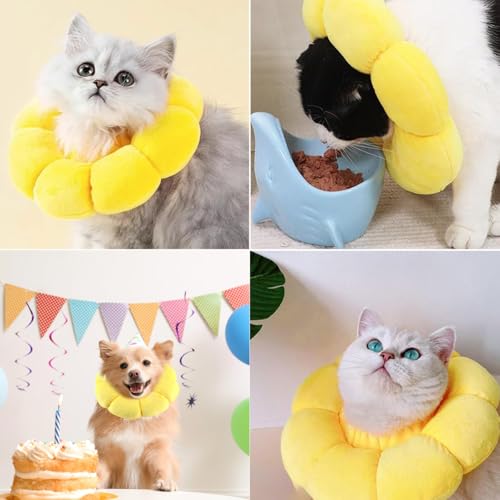 Halskrause für Katzen nach Operationen - Leckschutz für Kleine Hunde und Katzen - Gelbes Haustierhalsband in Blumenform
