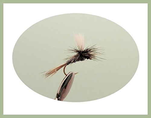 6 Pack of Adams Parachute Trout Flies Choice