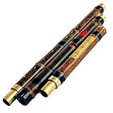 Flöte Professionelle Chinesische Vertikale Bambusflöte Xiao Holzblasinstrument Schlüssel Von F/g Dizi 3 Abschnitt Flauta Xiao