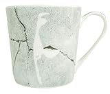 osters muschel-sammler-shop