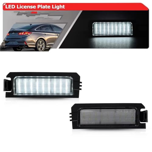 Luces matrícula LED blancas Canbus antierror para Sonata y Veloster 2