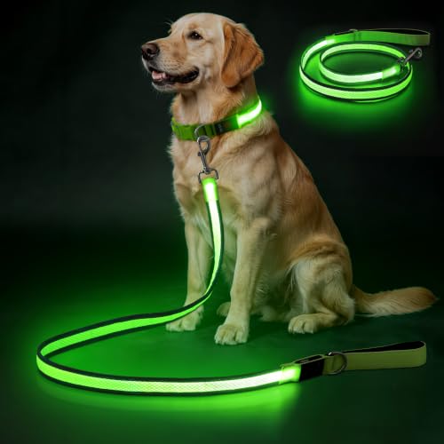 Flashseen ���C�g�A�b�v���p���[�h ���ʃ��C�g�t���A4�t�B�[�g LED ���p���[�h Type-C�[�d���ÈłŌ����ԎU���p (�O���[��)