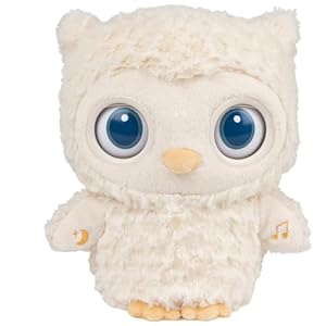 Gund Baby Sleepy Eyes Eule Einschlafhilfe
