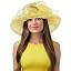S046dh-yellow