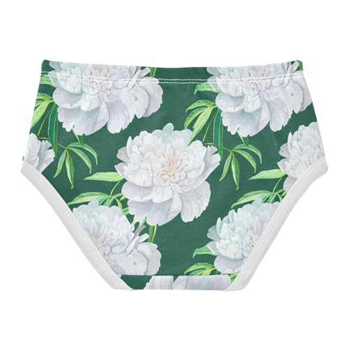 Toddler Underwear Floral 2t Cotton Panties Little Girl Bright Kids Undies Briefs Floral Pale Blue Peonies Green2