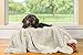 Pawsee Fleece Haustierdecke Flauschig Waschbar Sherpa Plüsch Kuscheldecke Hundebett für Hunde Welpen Katzen, 114 x 76cm