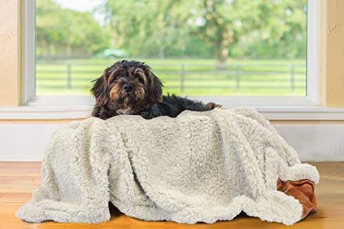 Pawsee Fleece Haustierdecke Flauschig Waschbar Sherpa Plüsch Kuscheldecke Hundebett für Hunde Welpen Katzen, 114 x 76cm