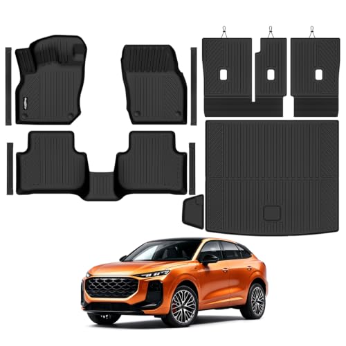Bingoliner Floor Mats for 2026 Audi Q3