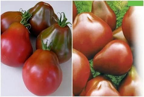 Miniatura 8 de Semillas Trufa Negra Tomate Japonés Indeterminado No GMO Heirloom