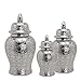 ROBMET Silver Ginger Jars with Lid, Handcrafted and Hand Painted Decorative Ceramic Jar Vase for Home Decor，Carved Patterned Temple Jar (Size : Large)